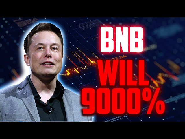 BNB 何时会上涨 9000%？ - 2024 年币安币价格预测与分析