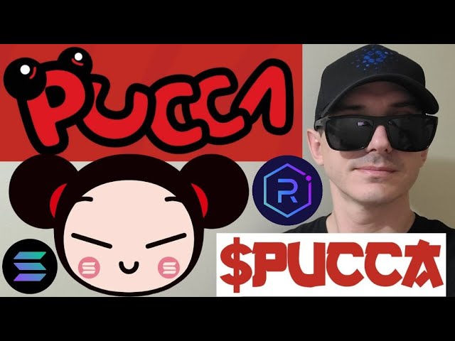 $PUCCA - PUCCA TOKEN PRESALE CRYPTO COIN SOL SOLANA RAYDIUM JUPITER BLOCKCHAIN PINKSALE MEMECOIN NEW