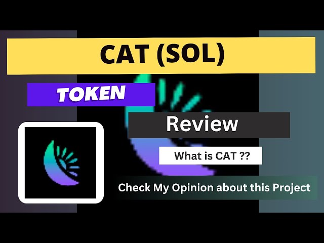 What is CAT (SOL) Coin | Review About CAT Token