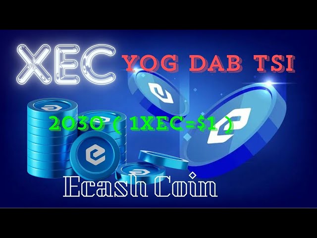 XEC 幣 yog dab tsi XEC 幣 1XEC=1 美元 很快