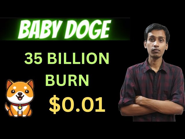 寶貝狗狗幣今日新聞 | 350 億燃燒 | BabyDoge 硬幣價格泵 100x |清單