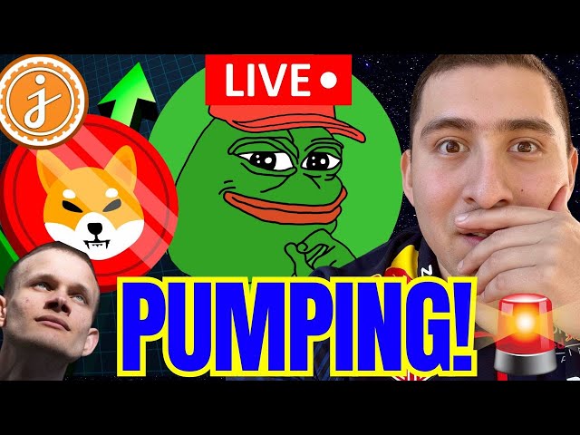 PEPE COIN PUMPING JASMY, SHIBA INU 코인 라이브!🔴CRYPTO NEWS