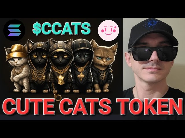 $CCATS - CUTE CATS 토큰 사전 판매 암호화폐 CCATS MEME SOL SOLANA NFTS RAYDIUM JUPITER PINKSALE CAT