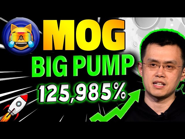 MOG COIN 今年までに巨大なポンプが来る - MOG 価格の予測と分析