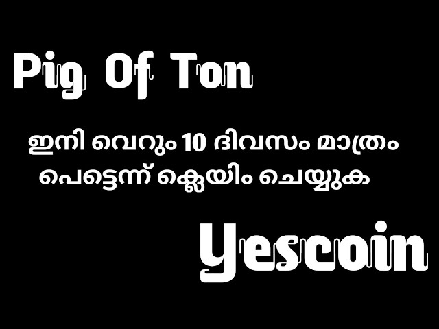 トンの豚 |イエスコイン |高速暗号コインを獲得するには残り 10 日しかありません