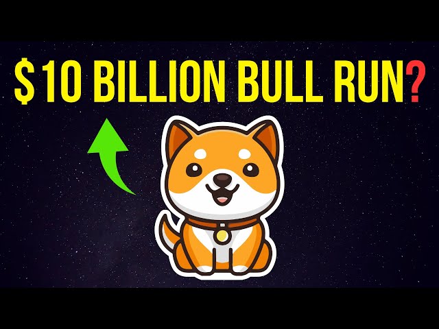 BABY DOGE COIN : 10 MILLIARDS DE DOLLARS DE CAPITALE MARCHÉE ? | Prévision du prix des pièces Meme pour le Bull Run... INCROYABLE ?