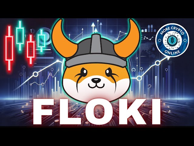 今日 FLOKI 加密货币价格新闻 - 技术分析和艾略特波浪分析和价格预测！