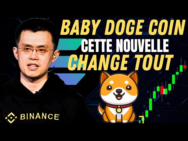 🚨이 뉴스는 Baby doge 코인 암호화폐에 대한 모든 것을 바꿀 수 있습니다. [당신이 알아야 할 모든 것]