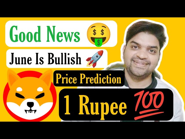 良いニュースです🤑 | 2024年6月の柴犬コイン価格 |柴犬コインはすぐに強気