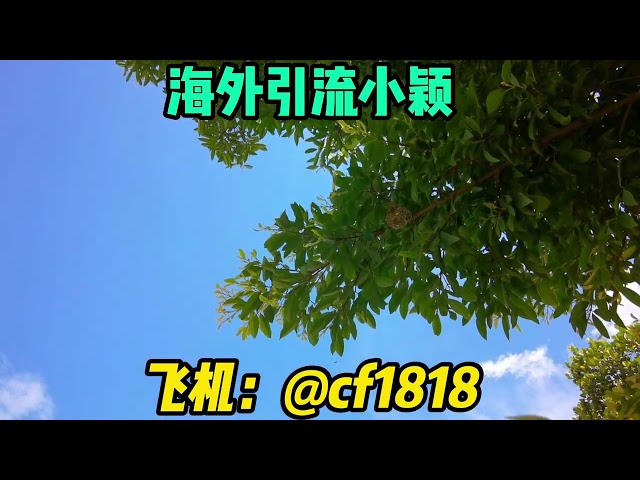 欧美币圈引流+飞机@cf1818数字货币币圈，每天数千人炒加密货币#欧美#巴西#日本#韩国