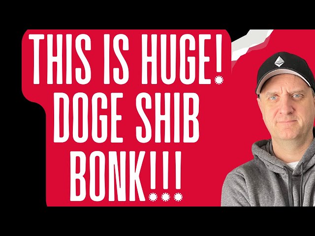 🔥 이건 바로 봐야해 🚀 바로 이거야! BONK & DOGECOIN을 이용한 SHIBA INU 코인 가격 예측