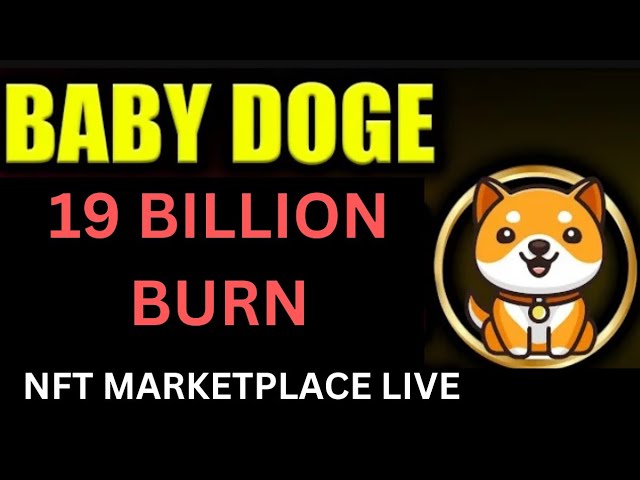 Baby Dogecoin News Today | 19 Billion Burning | BabyDoge Coin Price Pump 100x | Binance Listing