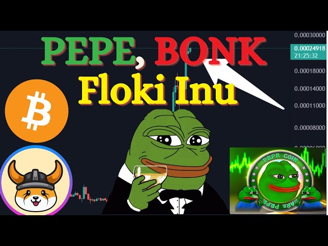 🛑PEPEコイン | Floki inu Coin ニュース |ボンクコインアップデート | BTC分析 |なぜミームコインポンピングなのか？