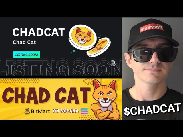 $CHADCAT - CHAD CAT 토큰 사전 판매 암호화폐 CHADCAT SOL SOLANA BITMART RAYDIUM JUPITER MEME ORCA