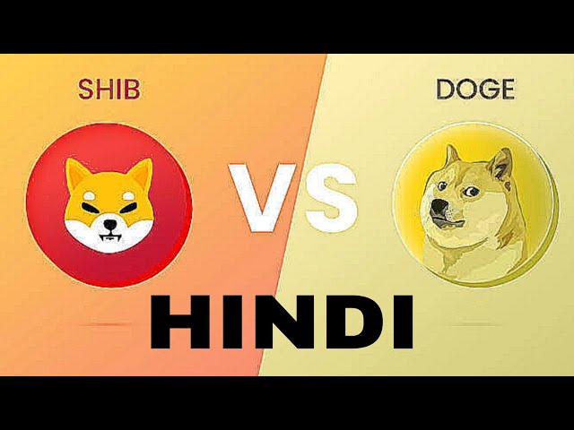 DOGE 與 Shiba Inu：哪個是更好的投資？ （誰是更好的投資？）