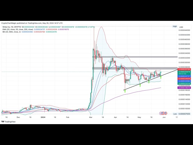 SHIB 價格分析：為什麼 Shiba Coin Inu 未能突破 0.000035 美元的突破