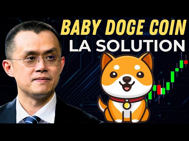 🚨 SOLANA 上的 BABY DOGE COIN 該解決方案可以在 2024 年公開 X100 項目