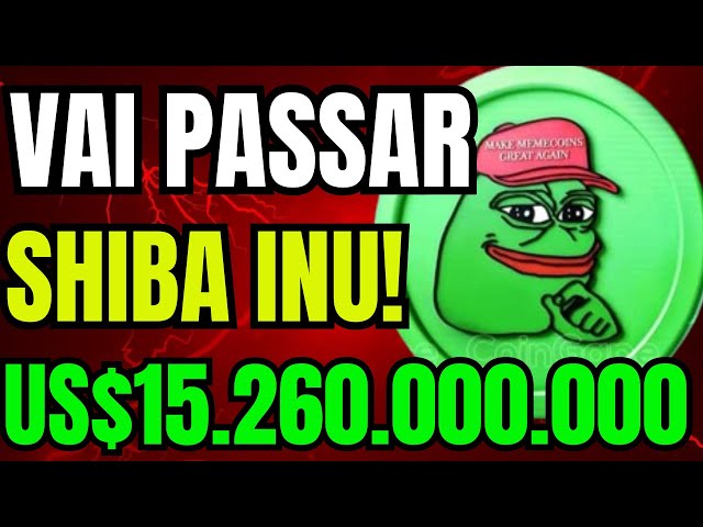 UNE PIÈCE PEPE DE 15 260 000 000 $ US PASSERA SHIBA INU !