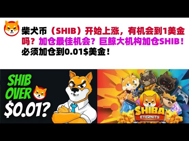 柴犬幣（SHIB）開始上漲，有機會達到1美元嗎？增加職位的最佳機會？大鯨機構加倉SHIB！部位必須增加至0.01$ USD！希布