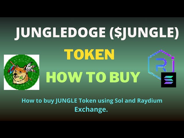 如何使用 Raydium Exchange 和 SOL 購買 JUNGLEDOGE (JUNGLE) 代幣