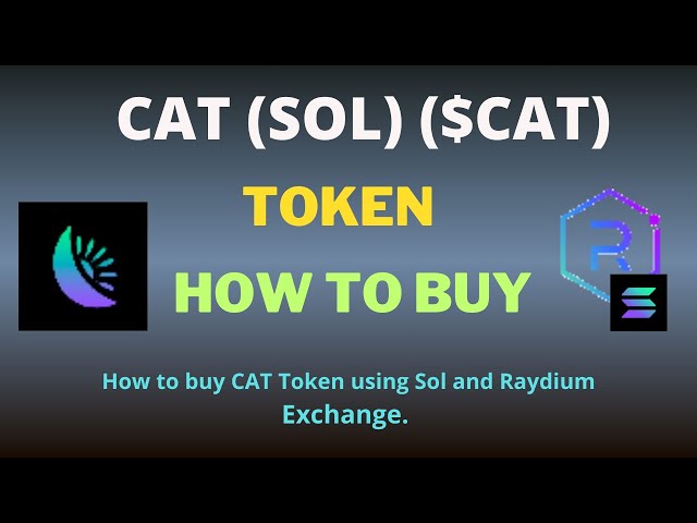 如何使用 Raydium Exchange 和 SOL 購買 CAT (SOL) (CAT) 代幣