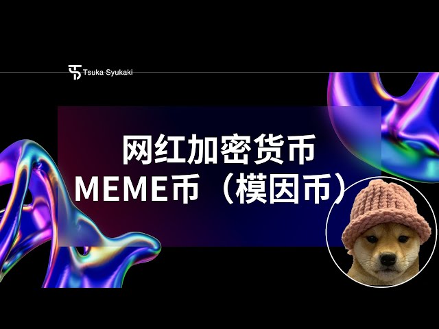 인터넷 연예인 암호화폐: MEME 코인 | 【일상학습 츠카슈카키】EP3 #meme #lbitcoin #web3 #btc #sol #solana