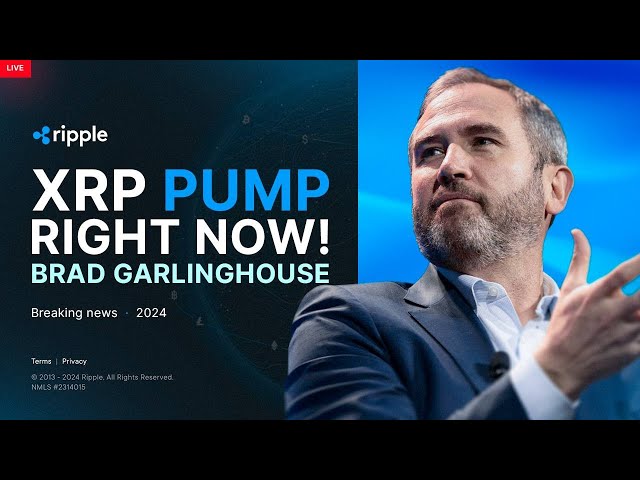 Brad Garlinghouse: Ripple reagiert auf die 1-Milliarde-Dollar-Strafe der SEC! XRP-PREISVORHERSAGE