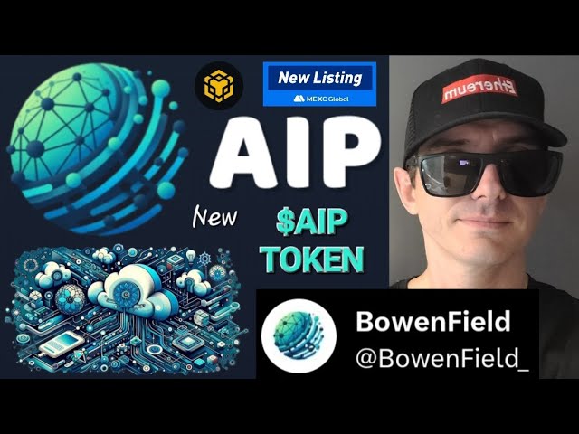 $AIP - BowenField トークン 暗号コイン AIP メキシコ グローバル BNB BSC パンケーキスワップ BOWEN フィールド ブロックチェーン NEW