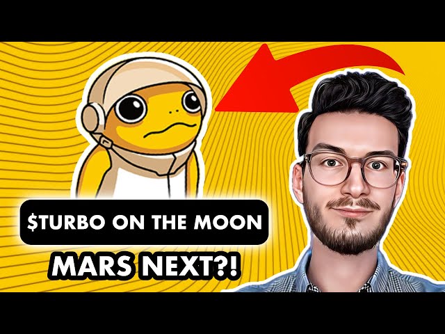 TURBO 토큰에 대한 TOP이 없습니다!!? (143배 남음)