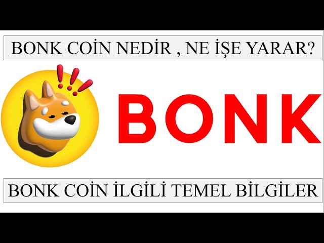 BONK COIN에 대한 기본 정보, BONK COIN이란 무엇이며 무엇을 위한 것인가요?