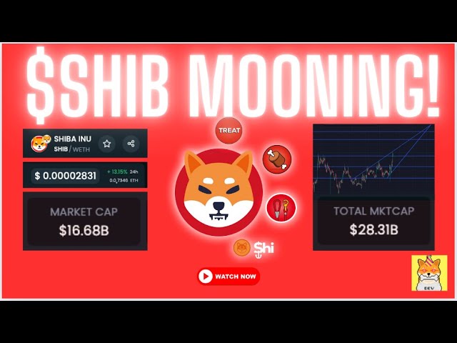 #SHIB 月光！接下來是生態系爆炸！ #Shibarium #ShibaInu #Memecoin #100XGems