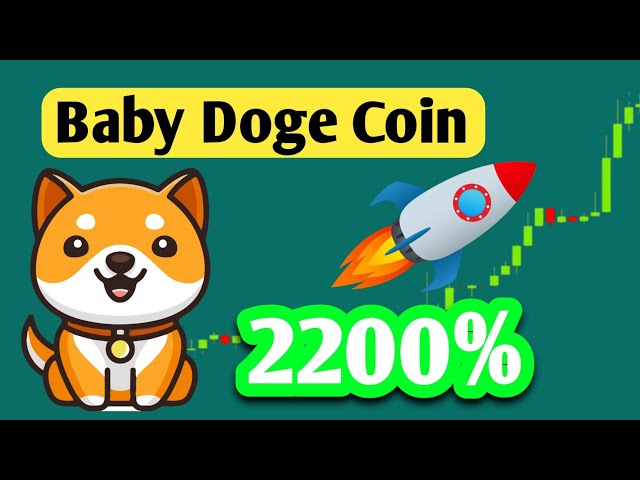 Prévision du prix des pièces Baby Doge 2025 | Mise à jour du marché de la cryptographie | TOUS les BTC