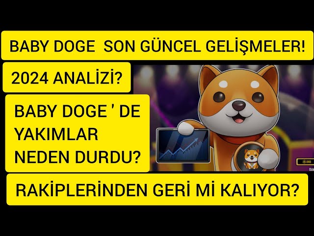 BABY DOGE 코인의 미래와 현재 분석은? BABYDOGE 코인 소각이 중단된 이유는 무엇입니까? BABYDOGE에서 무슨 일이 일어나고 있나요?