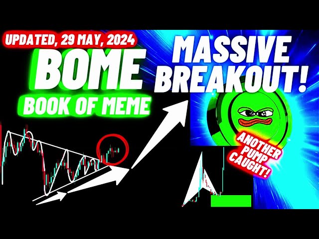 Évasion massive de la pièce cryptographique BOOK OF MEME (BOME) | Mis à jour le 29 mai 2024