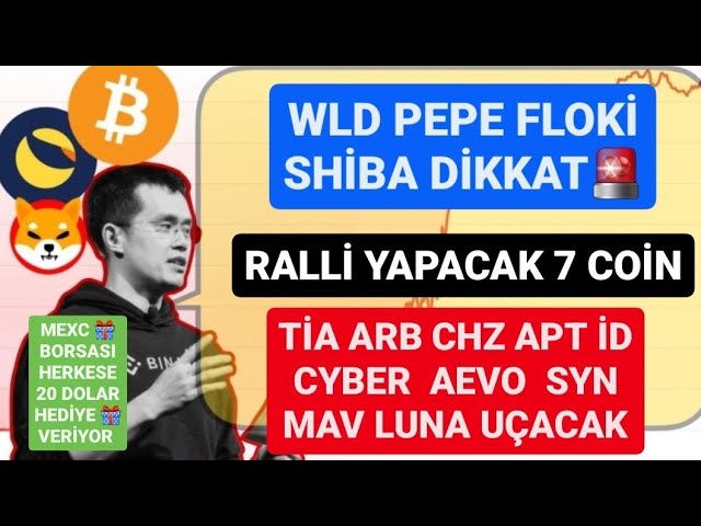 WLD PEPE FLOKI SHIBA 注意🚨將集結 7 個硬幣🚨ARB CHZ APT CYBER AEVO SYN TIA MAV MOON ID 將飛行