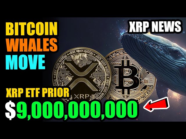 BITCOIN WHALES ACCUMULATING MASSIVE MOVE COMING! Ripple XRP News XRP ETF PRIOR TO 2025! $9.B