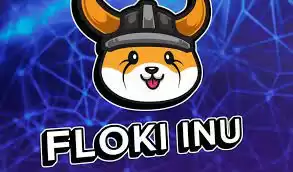 What is the market value of FLOKI currency? What is the market value of FLOKI currency?