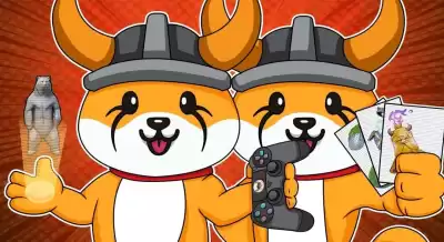 What is the use of FLOKI coins? What is the use of FLOKI coins?