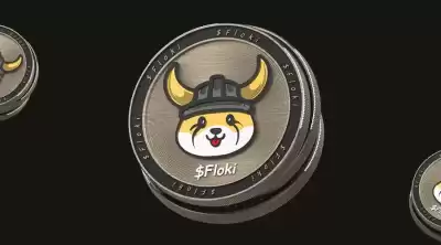 When was FLOKI coin issued? When was FLOKI coin issued?