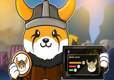 What is the future of FLOKI coin? What is the future of FLOKI coin?