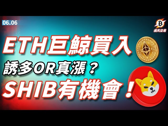 ETH鯨魚買進、引誘多頭，還是真的上漲？ SHIB有機會比特幣以太坊比特幣市場分析| 6.6 爆炸交易 | #btc #eth #shib #doge #pepe #bome #數位貨幣#cryptocurrency