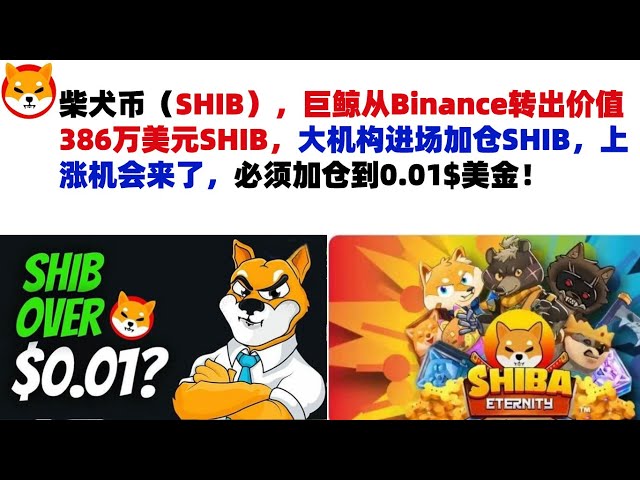 柴犬幣（SHIB），巨鯨從幣安轉移了價值 386 萬美元的 SHIB。大型機構入市增持SHIB。升職的機會來了，他們必須