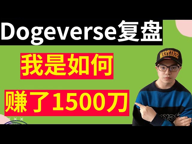 100% Profitable Techniques for Private Equity Tokens! How I made $1,500 through private placement of token dogeverse! dogeverse review