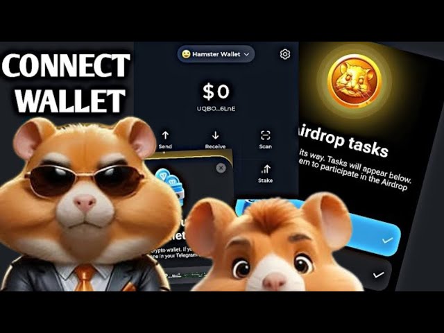 倉鼠金幣提領 |將 Hamster Kombat 連接到 TON 錢包