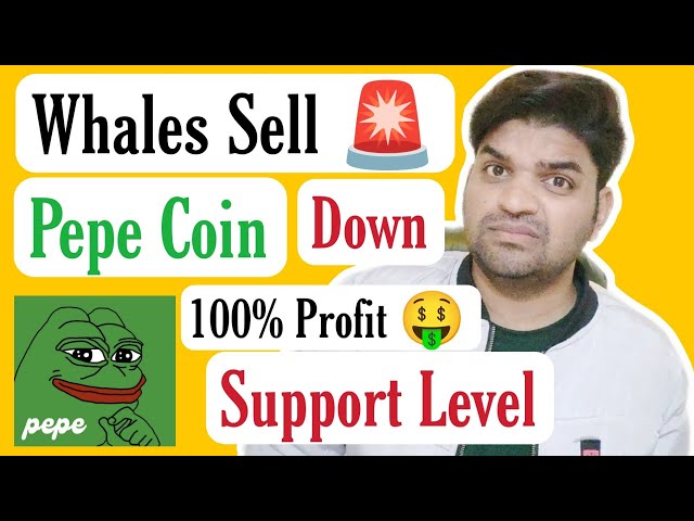 Big News 🚨 | Whales Sell Pepe Coin | Pepe Coin Latest News Updates