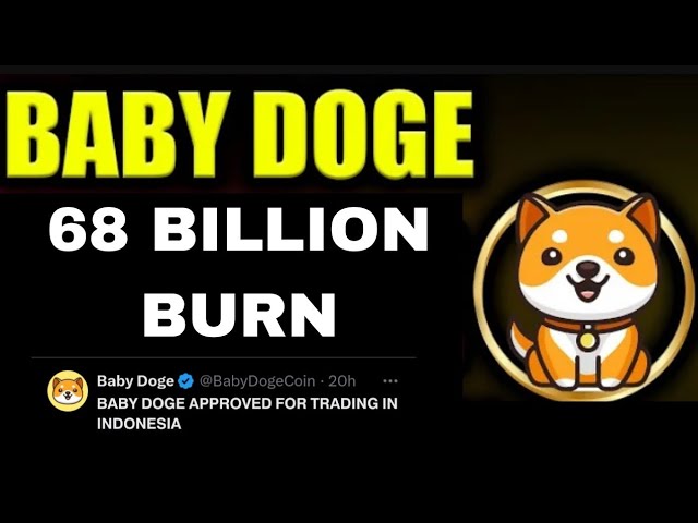 Baby Dogecoin Trading Approved | 68 Billion Burning | BabyDoge Coin Price Pump