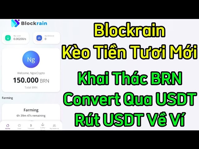 Blockrain Fresh Coins Mined BRN Token Convert To USDT Withdraw USDT To Wallet