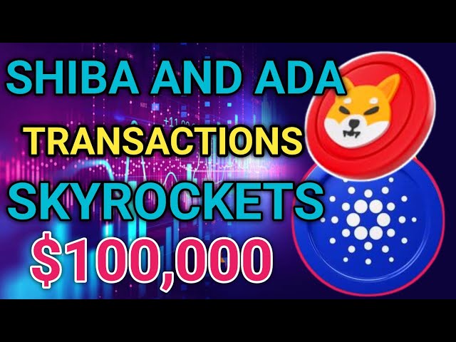 Battre des records : les transactions Shiba Inu et Cardano Ada montent en flèche à plus de 100 000 $