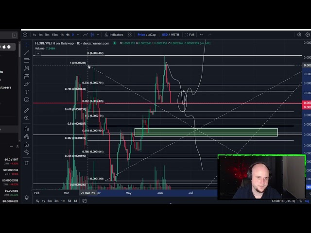 Floki Inu FLOKI Coin 2024 年加密貨幣價格預測與技術分析