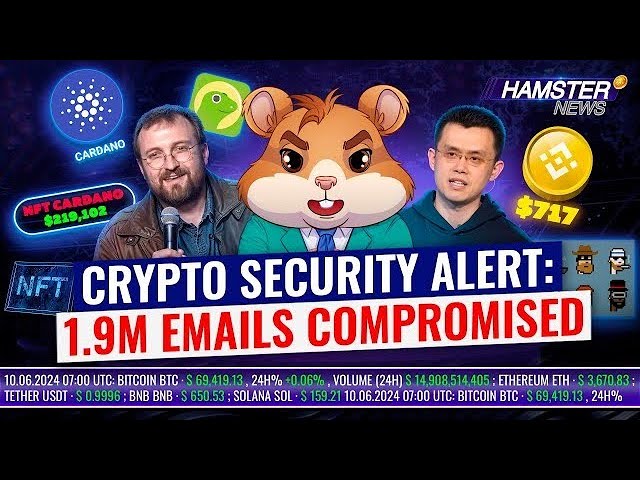 NFT Market Rises, Cardano NFT $219k Sale, BNB Surge, CoinGecko's Emails Hack 🐹🧨 Hamster News